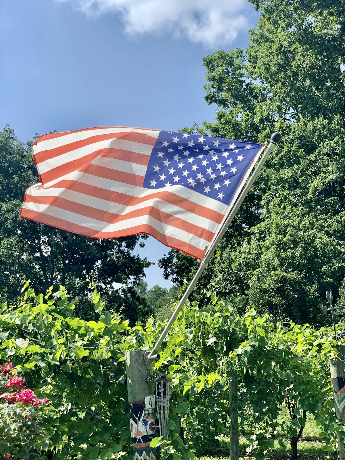 Why Does the US Still Use Imperial Units?